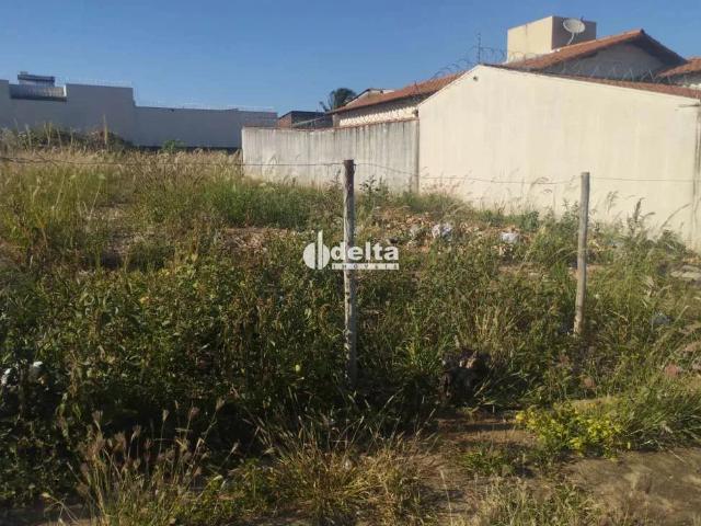 Terreno venda em Setor Norte, Uberlândia