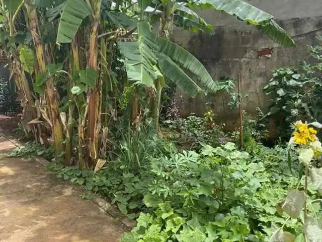 Terreno venda em Região Geográfica Imediata de Uberlândia, Oliveira Fortes