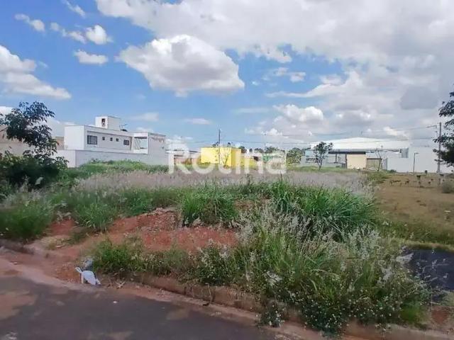 Terreno venda em Região Geográfica Imediata de Uberlândia, Oliveira Fortes