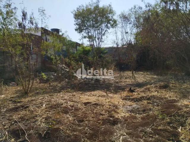 Terreno venda em Região Geográfica Imediata de Uberlândia, Oliveira Fortes