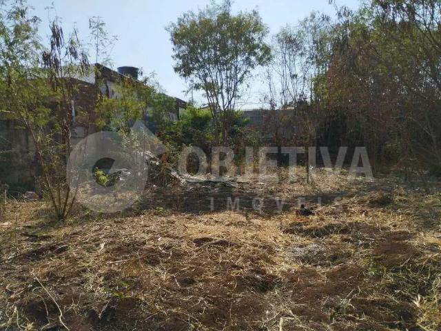 Terreno venda em Região Geográfica Imediata de Uberlândia, Oliveira Fortes
