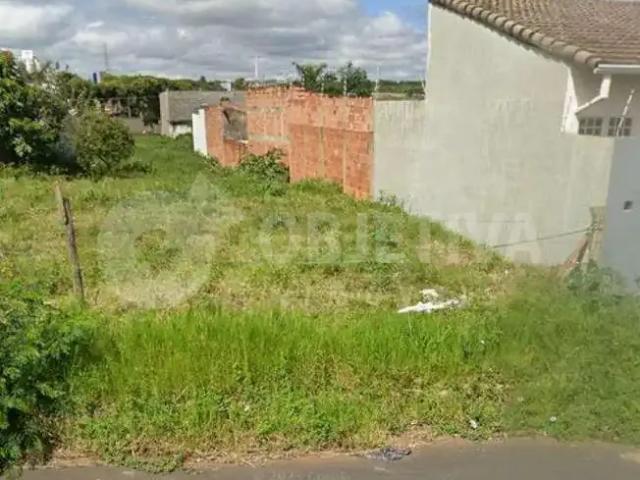 Terreno venda em Região Geográfica Imediata de Uberlândia, Oliveira Fortes