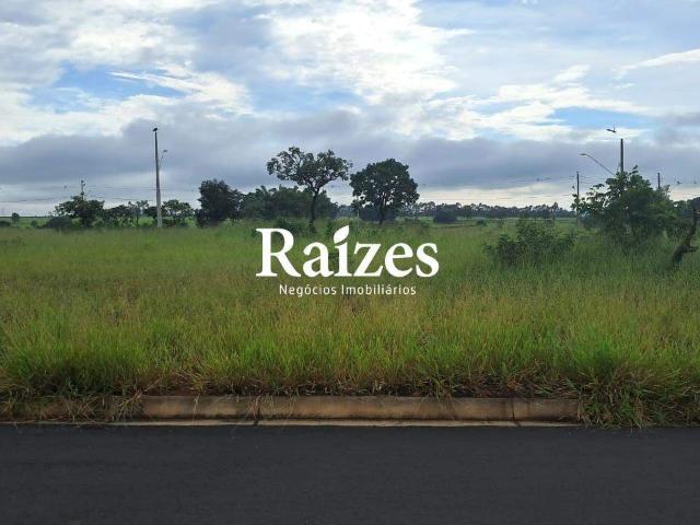 Terreno venda em Setor Sul, Uberlândia