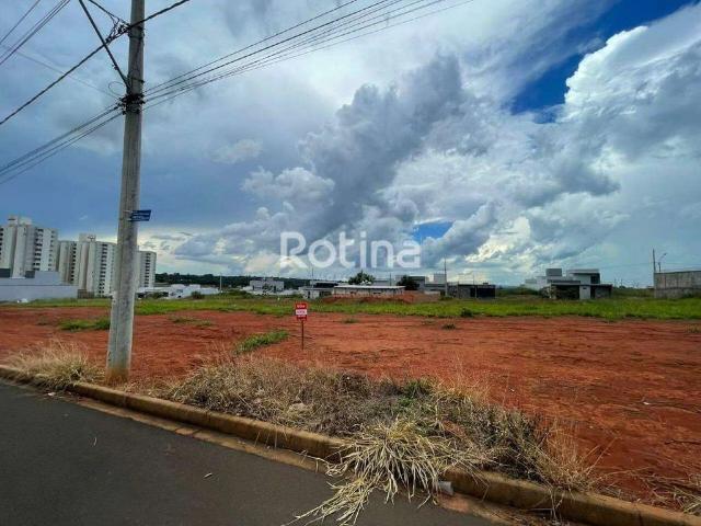 Terreno venda em Mansões Aeroporto, Uberlândia