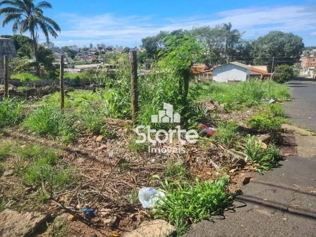 Terreno venda em Região Geográfica Imediata de Uberlândia, Oliveira Fortes