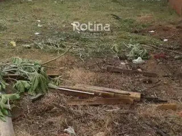 Terreno venda em Região Geográfica Imediata de Uberlândia, Oliveira Fortes