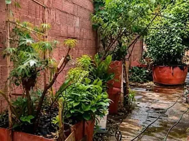 Terreno venda em Região Geográfica Imediata de Uberlândia, Oliveira Fortes