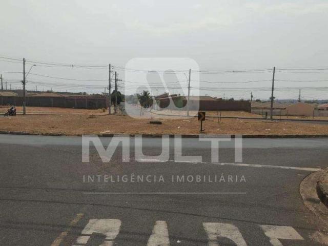 Terreno venda em Pequis, Uberlândia
