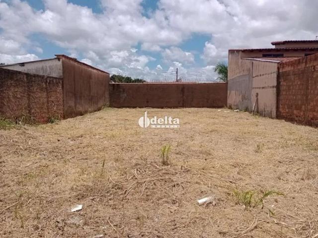 Terreno venda em Setor Sul, Uberlândia