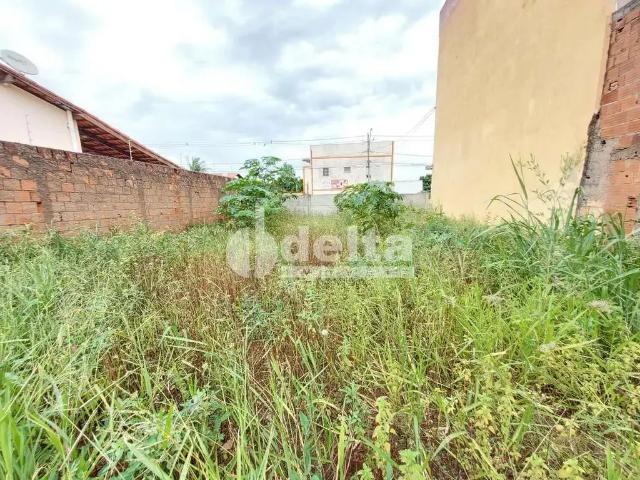 Terreno venda em Região Geográfica Imediata de Uberlândia, Oliveira Fortes