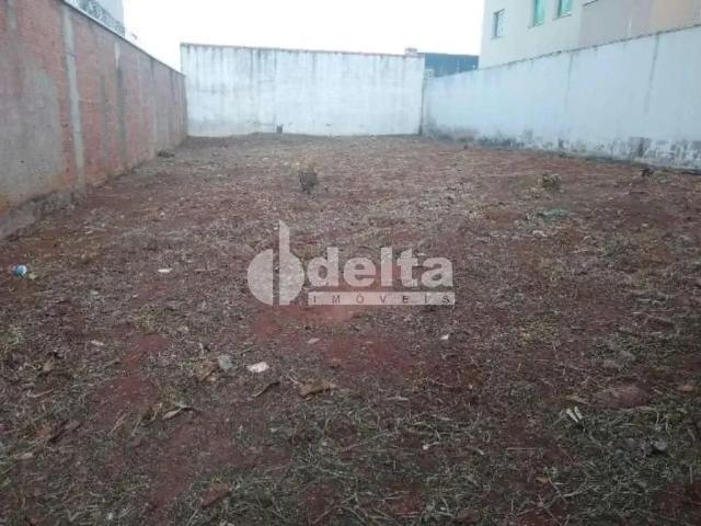 Terreno venda em Região Geográfica Imediata de Uberlândia, Oliveira Fortes