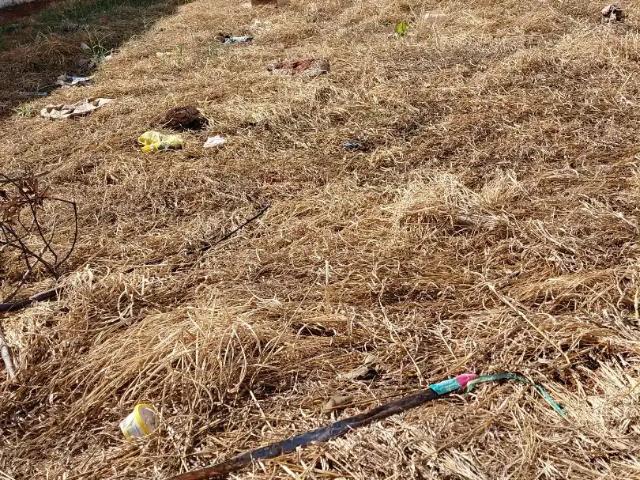 Terreno venda em Região Geográfica Imediata de Uberlândia, Oliveira Fortes