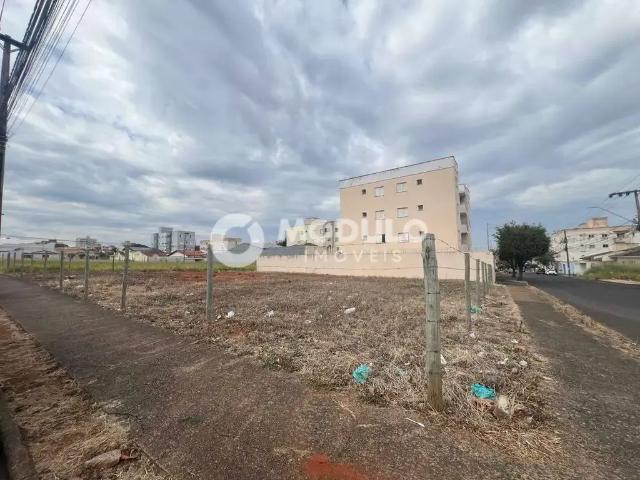 Terreno venda em Região Geográfica Imediata de Uberlândia, Oliveira Fortes