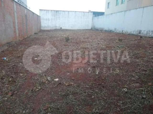 Terreno venda em Região Geográfica Imediata de Uberlândia, Oliveira Fortes