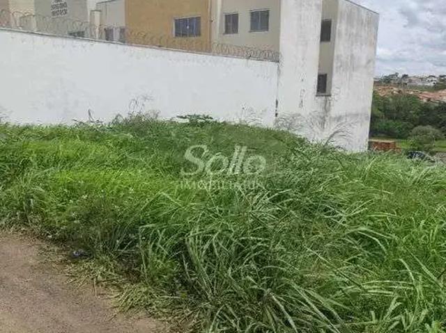 Terreno venda em Região Geográfica Imediata de Uberlândia, Oliveira Fortes