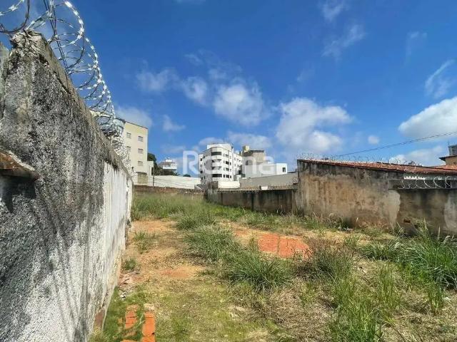 Terreno venda em Região Geográfica Imediata de Uberlândia, Oliveira Fortes