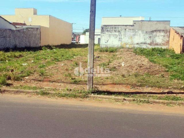 Terreno venda em Setor Sul, Uberlândia