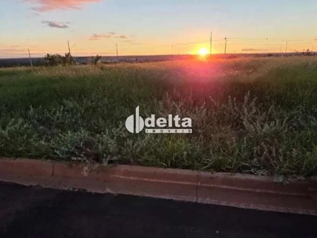 Terreno venda em Jardim Patrícia, Uberlândia