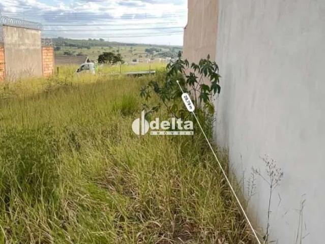 Terreno venda em Setor Sul, Uberlândia