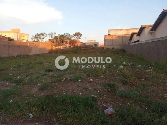 Terreno venda em Região Geográfica Imediata de Uberlândia, Oliveira Fortes