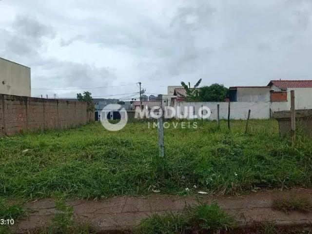 Terreno venda em Região Geográfica Imediata de Uberlândia, Oliveira Fortes