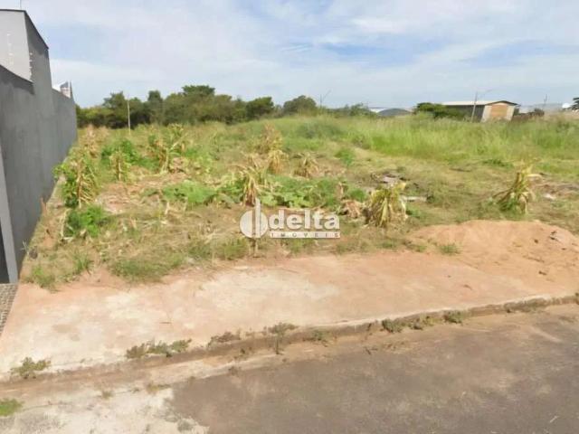 Terreno venda em Setor Sul, Uberlândia