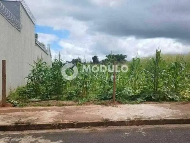 Terreno venda em Região Geográfica Imediata de Uberlândia, Oliveira Fortes