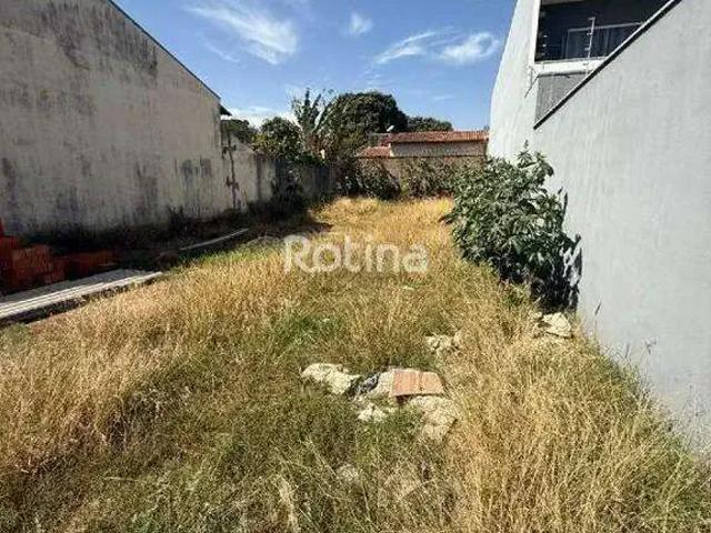 Terreno venda em Região Geográfica Imediata de Uberlândia, Oliveira Fortes