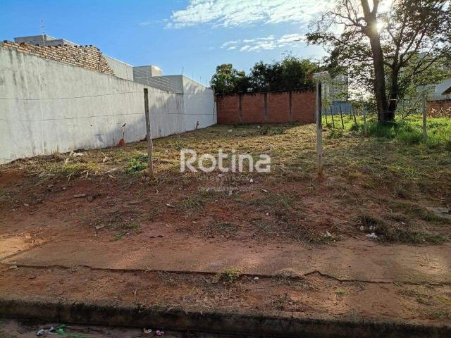 Terreno venda em Setor Sul, Uberlândia