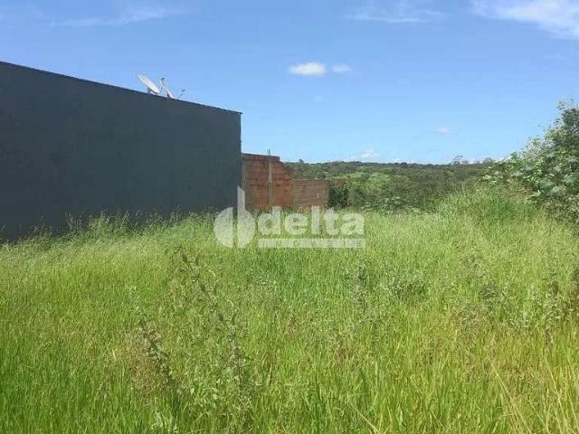 Terreno venda em Setor Sul, Uberlândia