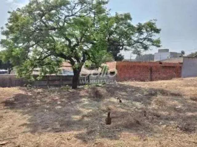 Terreno venda em Região Geográfica Imediata de Uberlândia, Oliveira Fortes