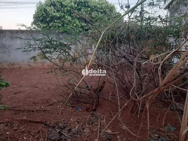Terreno venda em Tocantins, Uberlândia