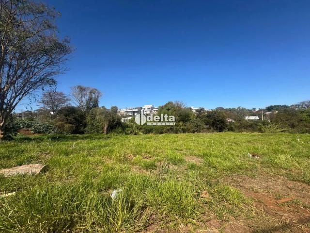 Terreno venda em Setor Sul, Uberlândia