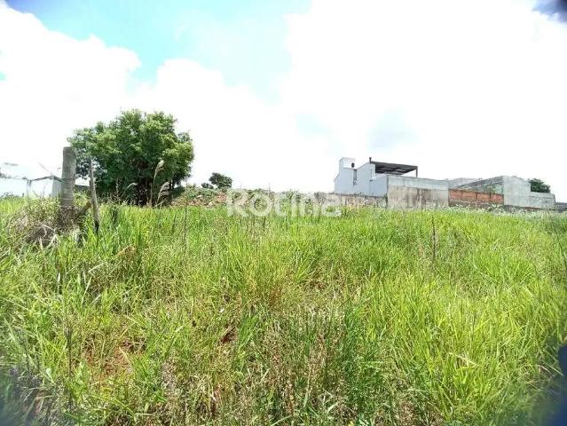 Terreno venda em Região Geográfica Imediata de Uberlândia, Oliveira Fortes