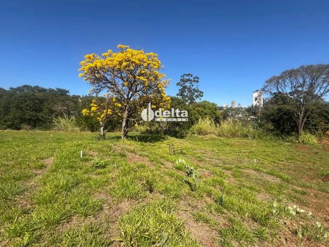 Terreno venda em Setor Sul, Uberlândia