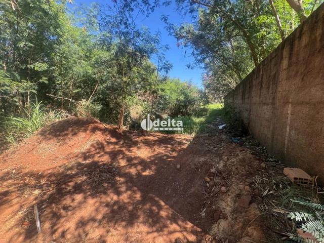 Terreno venda em Setor Sul, Uberlândia