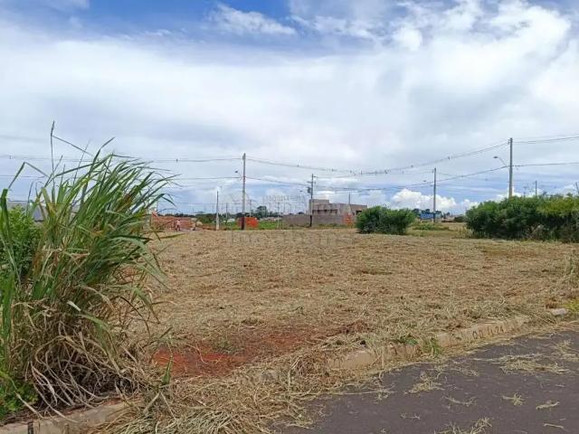 Terreno venda em Região Imediata de São José do Rio Preto, Região Metropolitana de São José do Rio Preto