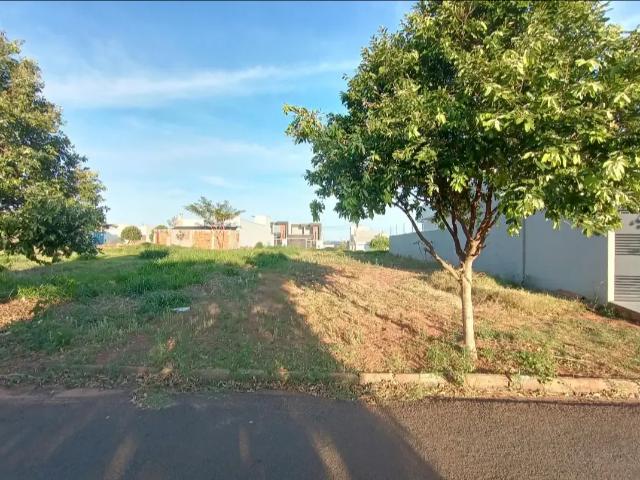 Terreno venda em Região Geográfica Imediata de Umuarama, Região Metropolitana de Umuarama