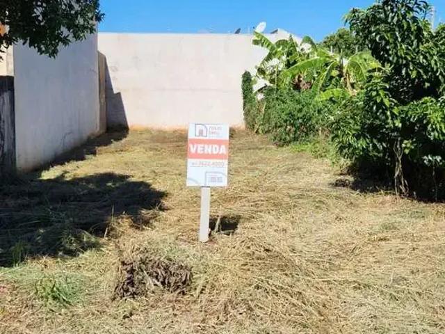 Terreno venda em Região Geográfica Imediata de Umuarama, Região Metropolitana de Umuarama
