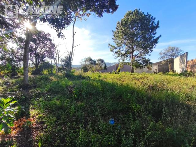 Terreno venda em Região Geográfica Imediata de União da Vitória, União da Vitória