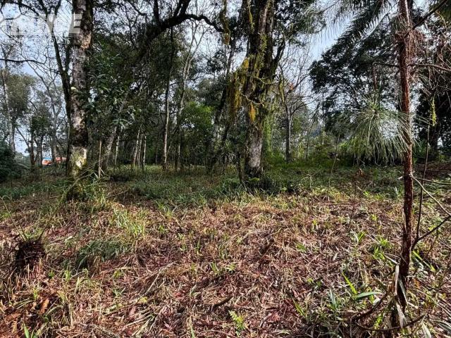 Terreno venda em Região Geográfica Imediata de União da Vitória, União da Vitória