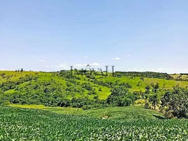 Terreno venda em Região Geográfica Imediata de Cornélio Procópio-Bandeirantes, Uraí