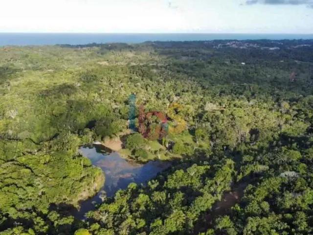 Terreno venda em Região Geográfica Imediata de Ilhéus – Itabuna, Uruçuca
