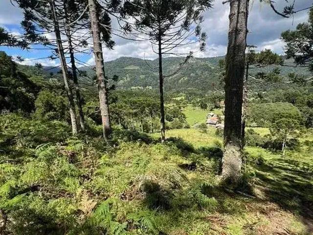 Terreno venda em Região Geográfica Imediata de Lages, Urubici