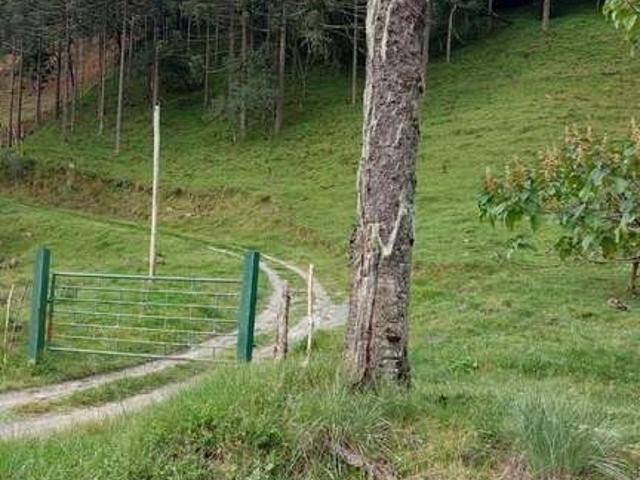 Terreno venda em Região Geográfica Imediata de Brusque, Nova Trento