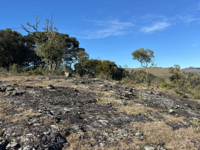Terreno venda em Invernador, Urubici