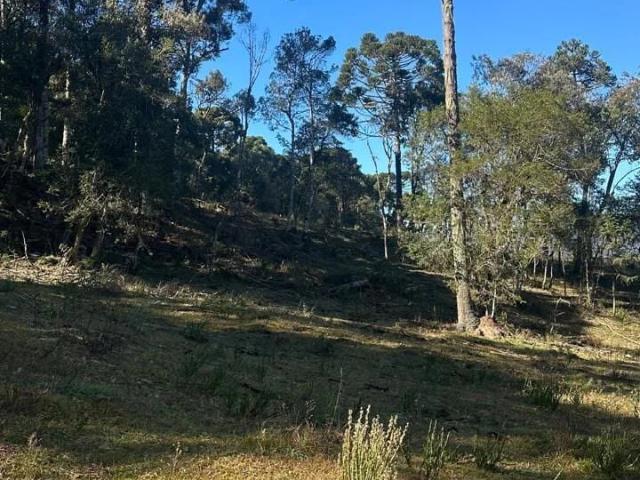 Terreno venda em Urubici, Região Geográfica Intermediária de Lages