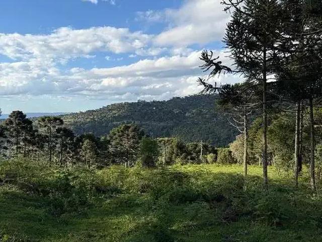 Terreno venda em Região Geográfica Imediata de Lages, Urubici