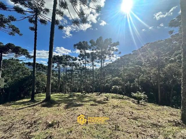 Terreno venda em Região Geográfica Imediata de Lages, Urubici