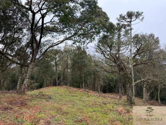 Terreno venda em Urubici, Região Geográfica Intermediária de Lages
